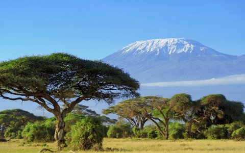 Afryka dzika - Kilimandżaro, safari i Zanzibar z DichoverAsia widok.jpg